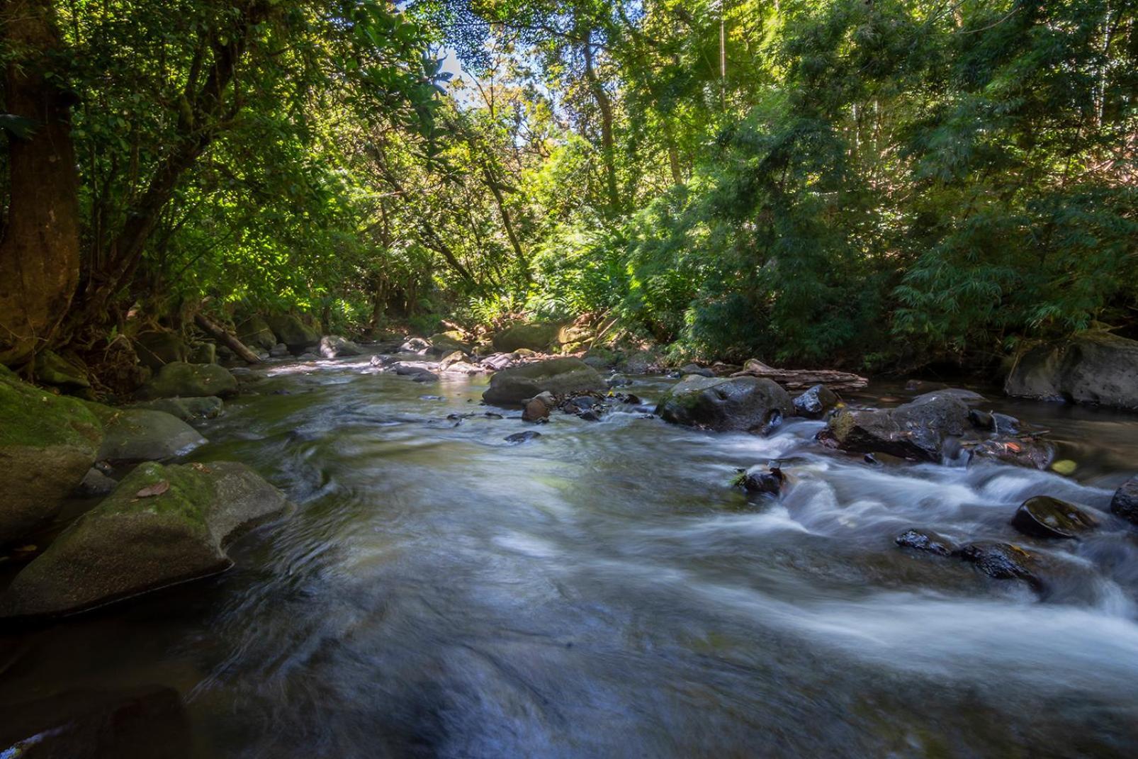 Quinta Esencia Βίλα Αλαχουέλα Εξωτερικό φωτογραφία